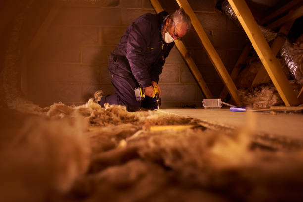 Best Insulation Repair Services  in Goodman, MS